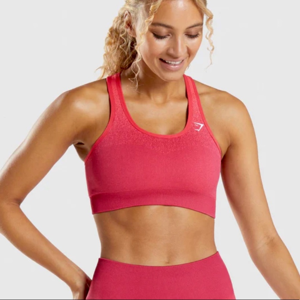ADAPT OMBRE SEAMLESS SPORTS BRA (pink/red)